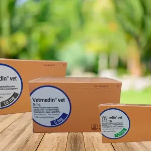 vetmedin แบบเคี้ยว